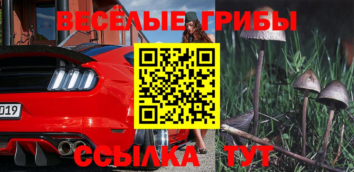 Галлюциногенные грибы GOLDEN TEACHER  Вход с VPN  наркота  Фрязино 